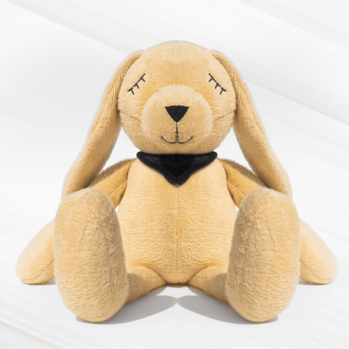 Molly – The Dreamy Plush Rabbit Soft Toys