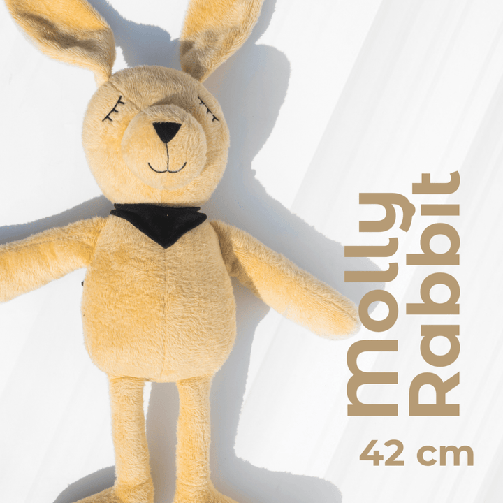Molly – The Dreamy Plush Rabbit Soft Toys