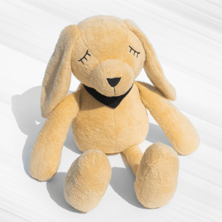 Molly – The Dreamy Plush Rabbit Soft Toys