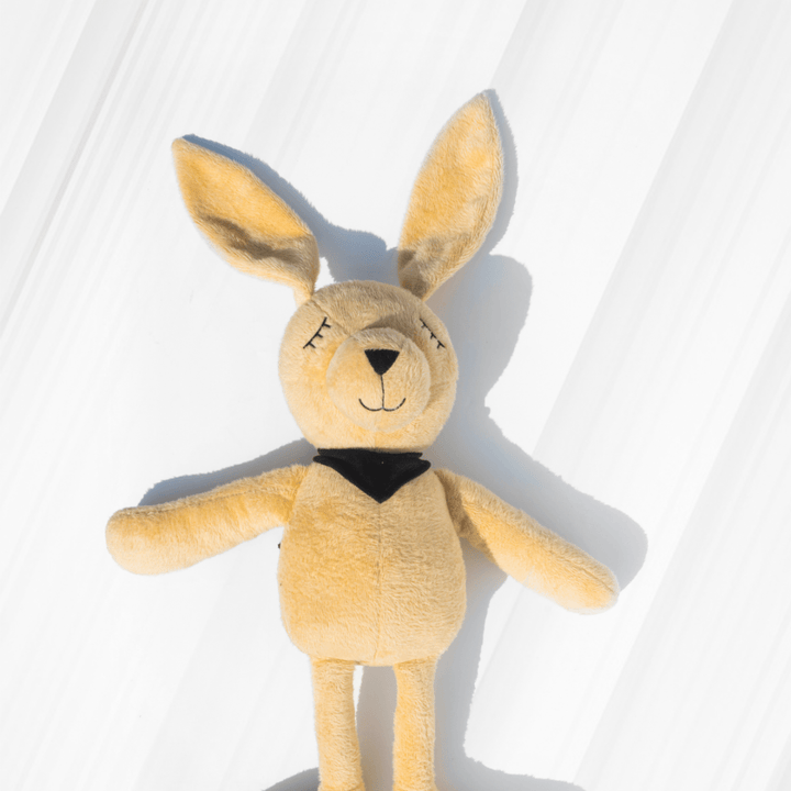 Molly – The Dreamy Plush Rabbit Soft Toys