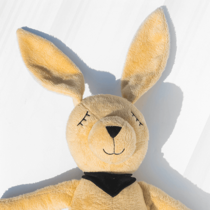 Molly – The Dreamy Plush Rabbit Soft Toys