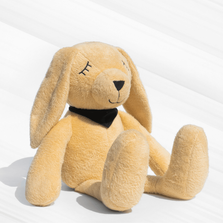 Molly – The Dreamy Plush Rabbit Soft Toys