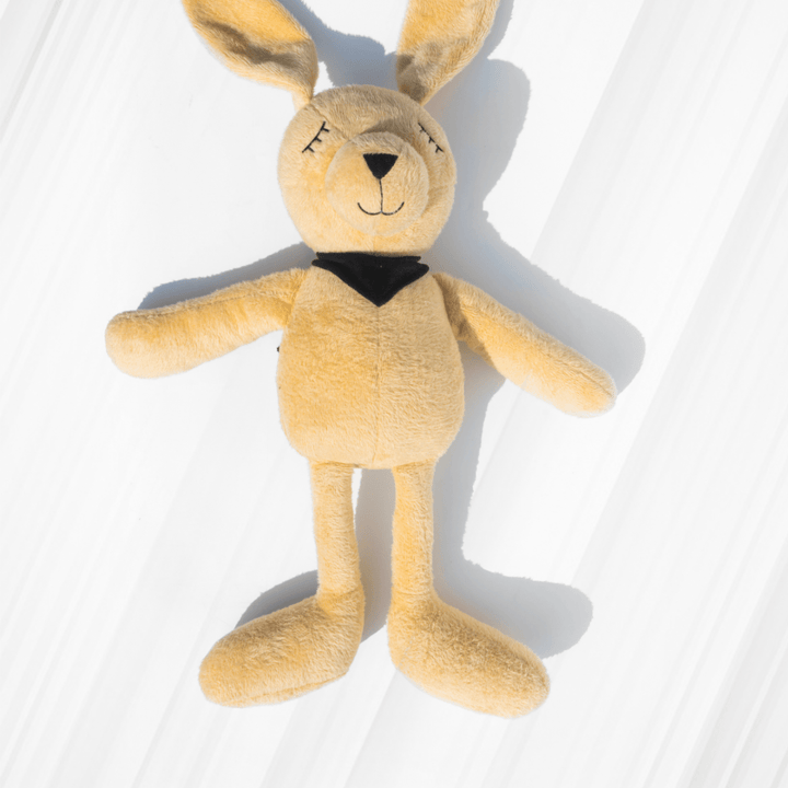 Molly – The Dreamy Plush Rabbit Soft Toys