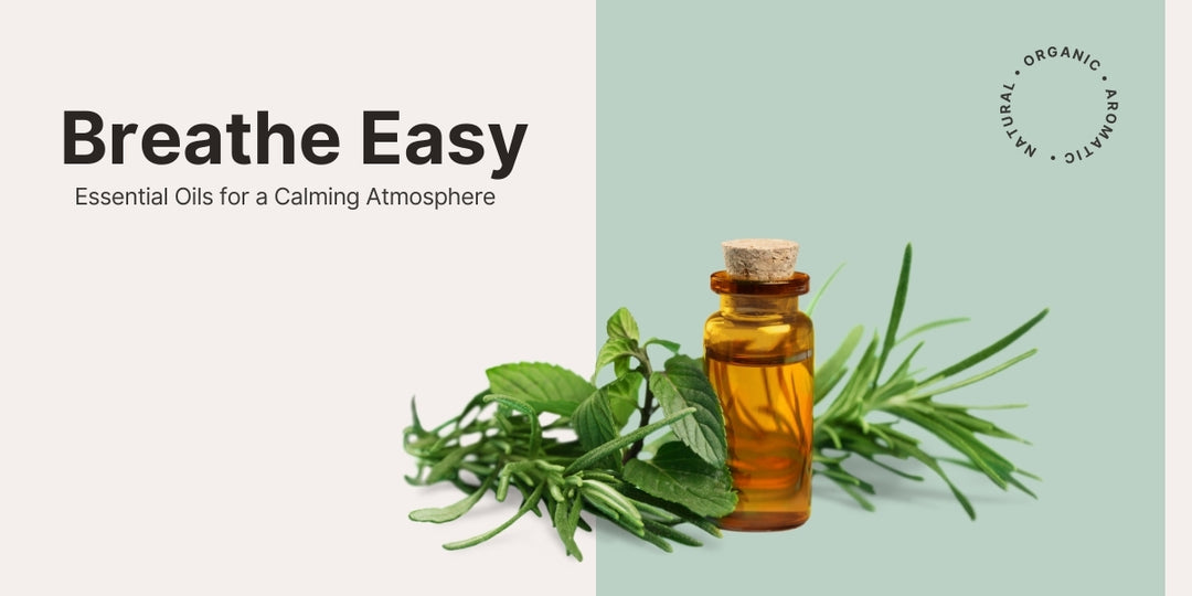 Breathe Easy: Essential Oils for a Calming Atmosphere