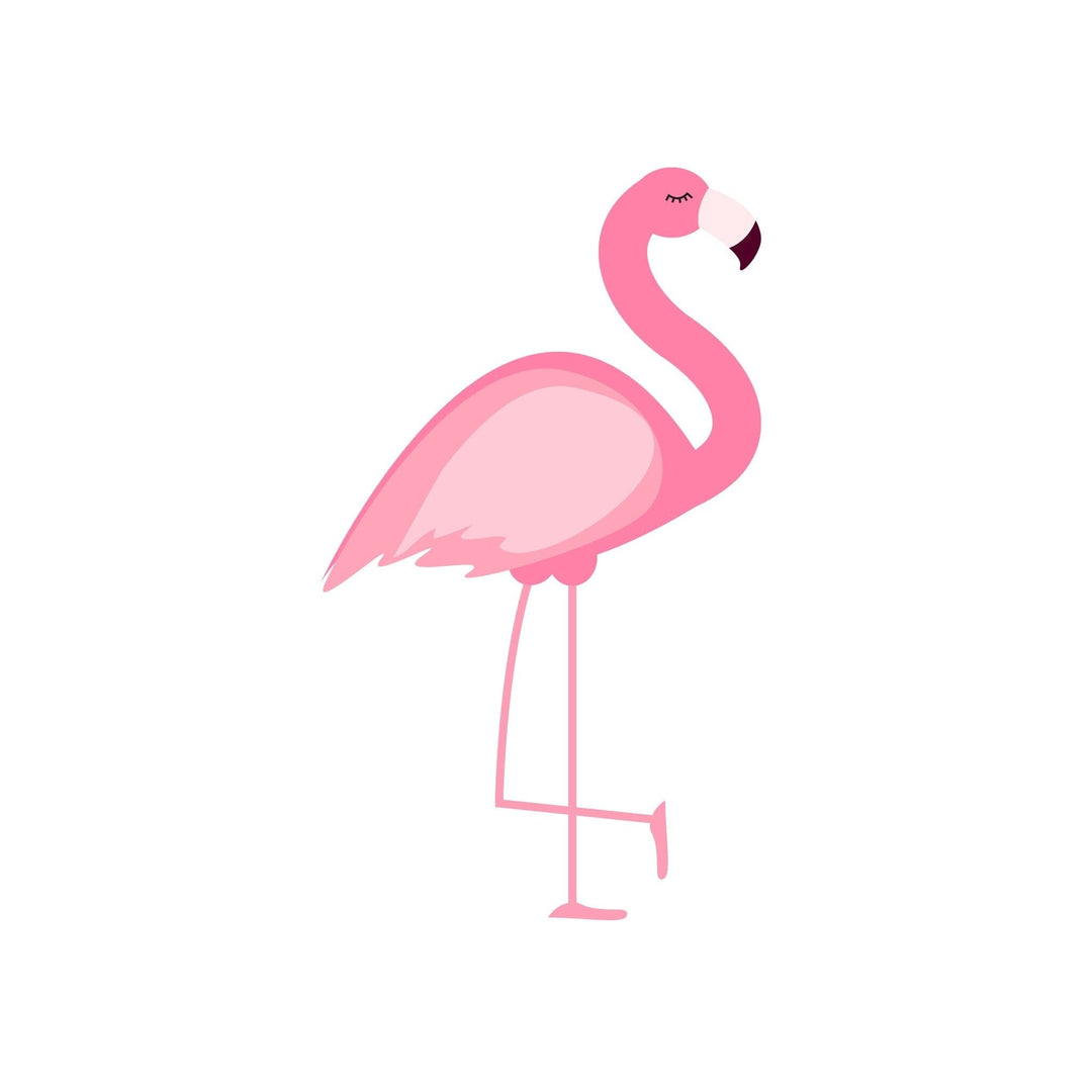 Flamingo - Candy Floss Private Limited