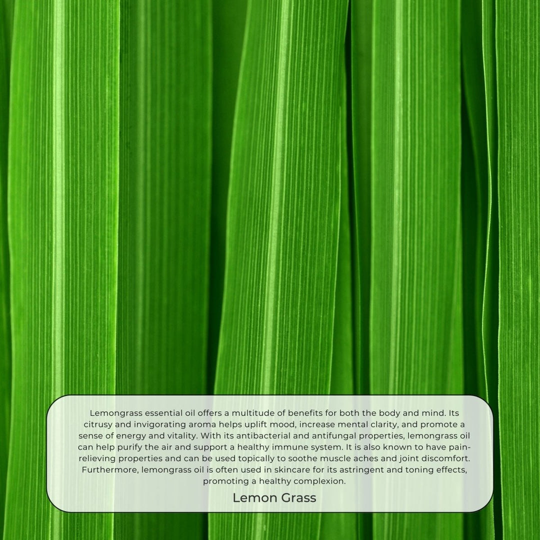 Lemongrass - 100% Essential oil Essential Oils