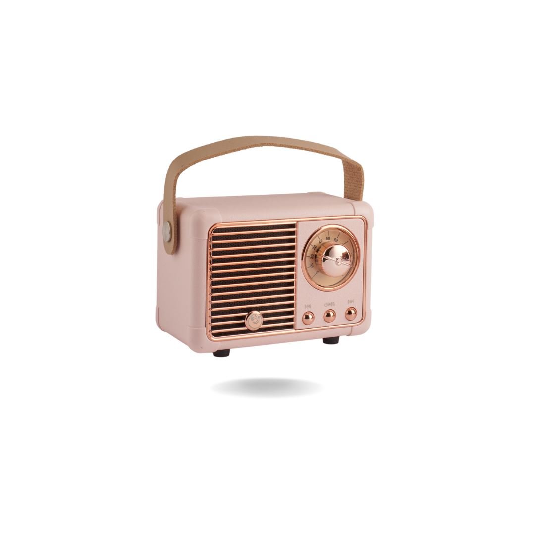 PORTABLE RADIO STYLE SPEAKERS Speakers